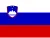 Прапор, що представляє код локалі: sl-SI